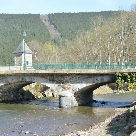 Vieux-chene *